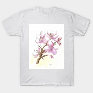 Cherry blossom T-Shirt